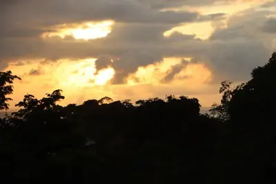 an image of a sunset with trees in the foreground at Jaguar, 2 BR Penthouse in Villa Mar y Sol, Nature and Wildlife in Manuel Antonio
