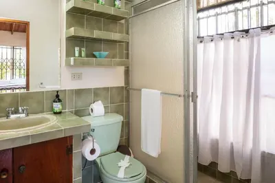 a bathroom with a toilet and a sink and a mirror at Casa Kilimanjaro Nature, Amazing Views and 6 Acres in Manuel Antonio