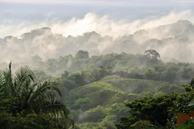 a misty valley in the mountains with trees at Casa Kilimanjaro Nature, Amazing Views and 6 Acres in Manuel Antonio