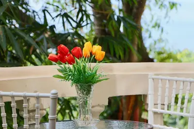 a vase of flowers sitting on a table at El Perezoso, Studio Apartment w Views and Central Location in Manuel Antonio