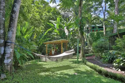 a hammock in the middle of a yard with trees at Jungle Creek all 4 villas up to 19 people in Manuel Antonio