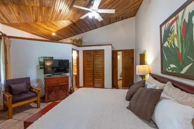 a bedroom with a bed and a ceiling fan at Alma Pacifica, Charming, secure and lots of wildlife in Manuel Antonio