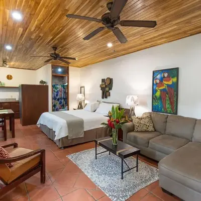 El Gekko spacious studio