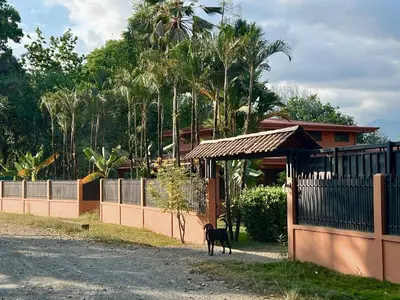 a black dog standing in front of a fence at Finca Terra, Private Country Home, Mountain Views and Pool in Manuel Antonio