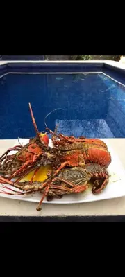 a plate of lobster sitting on a table at No está disponible in Puntarenas