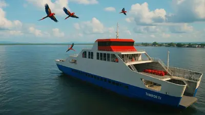 a boat in the water with birds flying above it at Villa Carpintera in Puntarenas