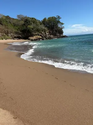 a sandy beach with the ocean and trees at Villa Carpintera in Puntarenas