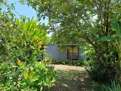 a garden view of a house through the trees at Apartamentos Modular Bahía Ballena in Bahia