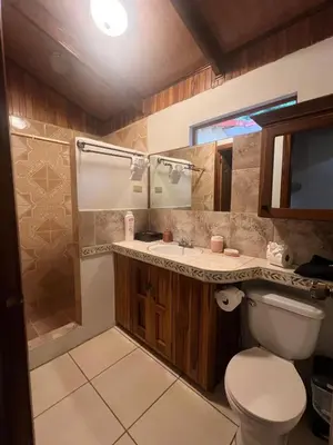 a bathroom with a toilet and a sink and a shower at Peaceful Jungle Home, River Access, Arenal Views in El Castillo de La Fortuna