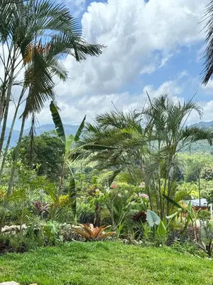 a garden with palm trees and flowers in the grass at Refugio del Ocaso - neues Teak-Haus mit Garten in Hojancha