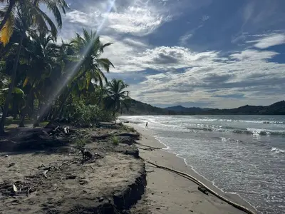 a sandy beach with palm trees and the ocean at Refugio del Ocaso - neues Teak-Haus mit Garten in Hojancha