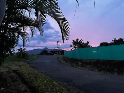a road with a fence and a palm tree at Sonrisas del Arenal, cerca de La Fortuna de SC in Chachagua