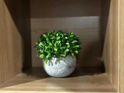 a plant in a vase sitting on a shelf at Sonrisas del Arenal, cerca de La Fortuna de SC in Chachagua