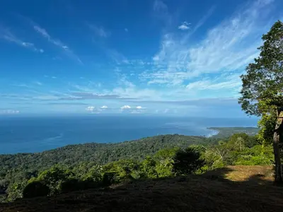 a view of the ocean from the top of a hill at Módulos Yunni in Uvita