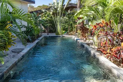an infinity pool in a garden with tropical plants at Casa Cosmo Samara in Sámara