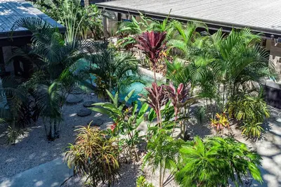 a garden of tropical plants in front of a house at Casa Cosmo Samara in Sámara