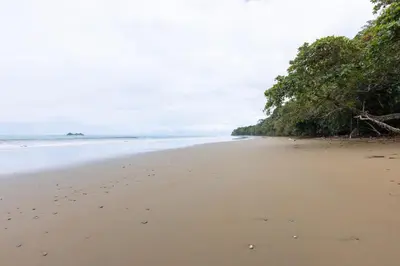 a beach with footprints in the sand and trees at Uvita Paradise , Walk to the Ballena Beach in Uvita