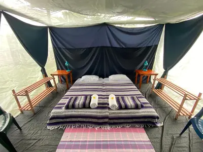 a bed in a tent with two chairs in it at Rainforest Glamping, Forest Bathing in the Osa Region in Ciudad Cortés