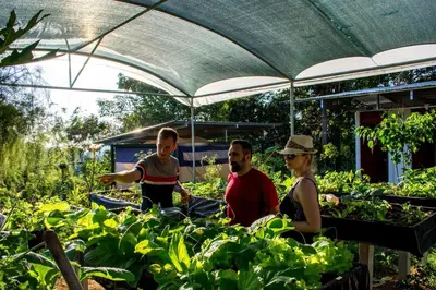 a group of people working in a garden at Rainforest Glamping, Forest Bathing in the Osa Region in Ciudad Cortés