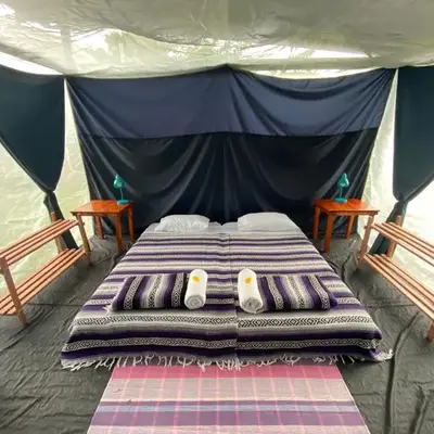 Rainforest Glamping