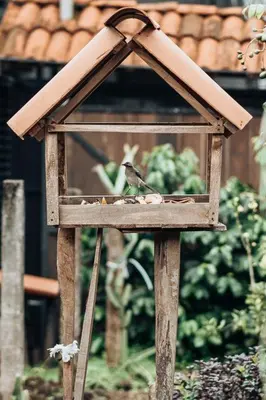 a bird sitting on top of a bird feeder at El Carpintero Guest House in Fortuna