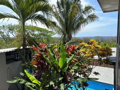 a view of a palm tree and a pool at NulaKai Boutique Apartments in Santa Teresa Beach