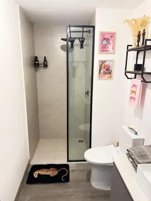 a bathroom with a shower with a cat rug on the floor at Original Studio ESCALANTE in San José