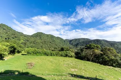 a green field with trees and mountains in the background at Villa Centinela in Monteverde Costa Rica