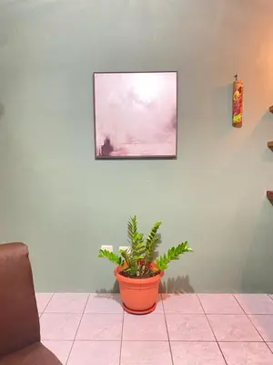 a plant in an orange pot on a wall with a painting at Rous place# 2 in Fortuna