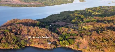 an aerial view of an island in a body of water at Teak house in a forest above the beach