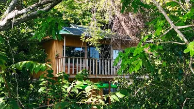 a tree house with a balcony in the woods at Teak house in a forest above the beach