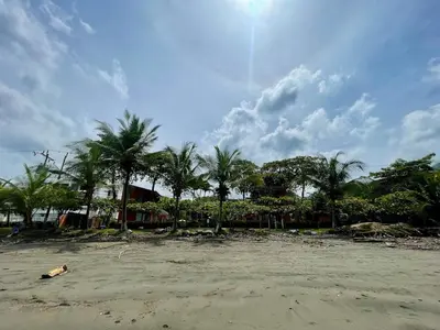 an empty beach with palm trees and a cloudy sky at Beachfront apartment in Jacó in Tapantí