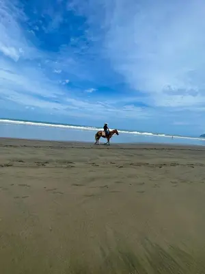 a person riding a horse on the beach at Beachfront apartment in Jacó in Tapantí