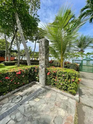 a garden with flowers and trees and a stone pathway at Beachfront apartment in Jacó in Tapantí