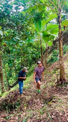 two men walking down a trail in a forest at Rio Breeze