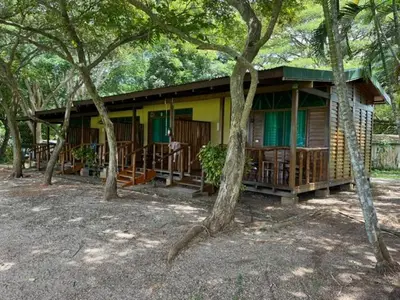 a yellow and green house in the middle of trees at La Ensenada Lodge in Abangaritos