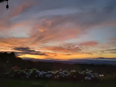 a painting of a sunset with a field of flowers at A place to create dreams in Naranjo
