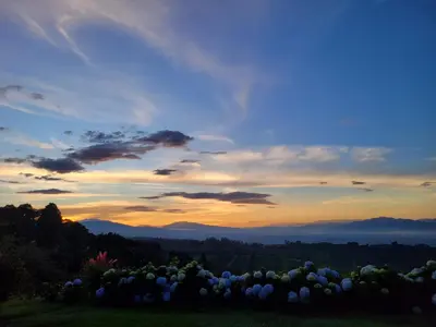 a field of flowers with a sunset in the background at A place to create dreams in Naranjo