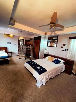 a bedroom with a large bed and a ceiling fan at Hotel Mirador Mayday Mountain View in Alajuela City