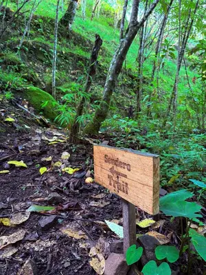 a sign on a trail in the woods at BiBO Casa Savia in Monteverde Costa Rica