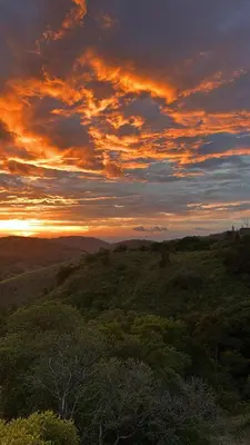 a sunset on top of a hill with trees at BiBO Casa Savia in Monteverde Costa Rica