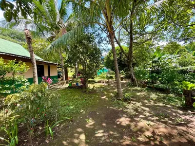 a yard with palm trees and a house at Casona de Pani Altillo#10 in Liberia