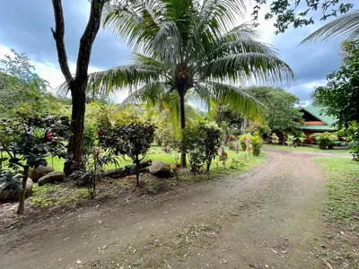 a dirt road with trees and a palm tree at Casona de Pani Altillo#10 in Liberia