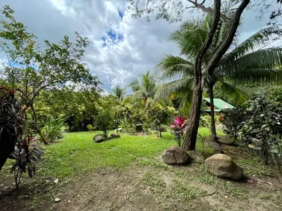 a garden with a palm tree and rocks on the grass at Casona de Pani Altillo#10 in Liberia