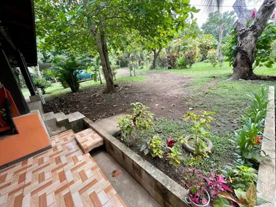 a garden with flowers and plants in a yard at Casona de Pani habitacion#3 in Liberia