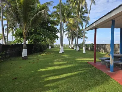 a park with palm trees and a bench on the grass at Jane's Beach Resort in Chacarita