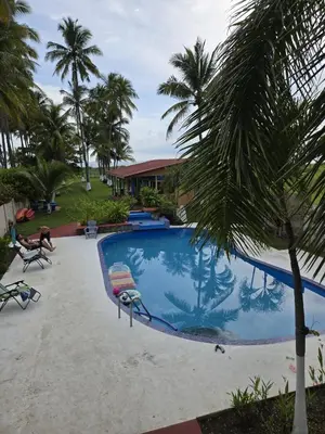 a swimming pool with a palm tree in front of a house at Jane's Beach Resort in Chacarita