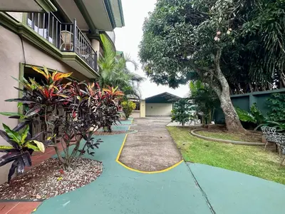 a walkway in front of a building with a tree at Room A Heredia – Excellent Location in Flor