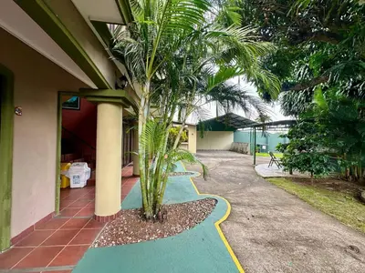 a palm tree on the side of a house at Relaxing H-I Heredia Apartment in Flor