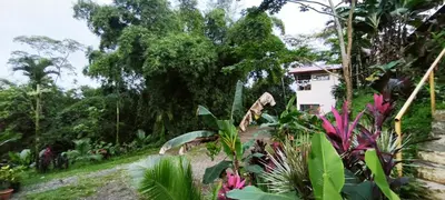 a garden with a house in the background at Nature Observatory Studio with Private Pool in Chachagua
